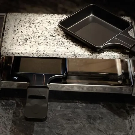 Apartment Charming In The Heart Of The Pedestrian Area Annecy